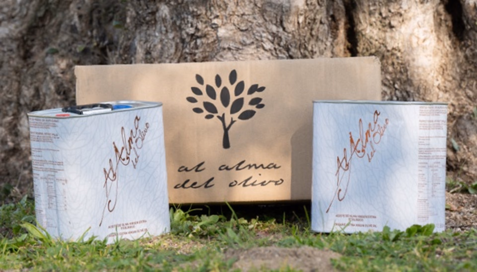 Latas de AOVE ecológico y caja de Al Alma del Olivo
